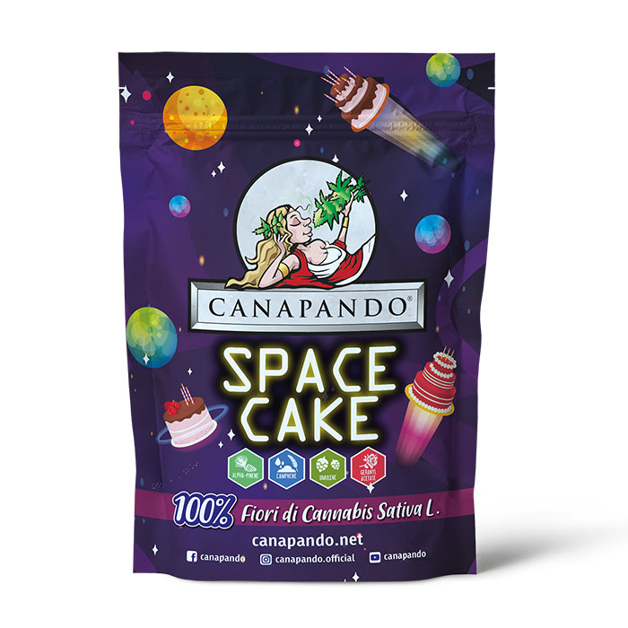 Space Cake